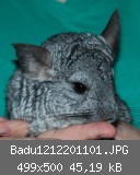 Badu1212201101.JPG