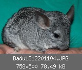 Badu1212201104.JPG