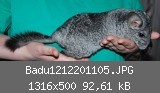 Badu1212201105.JPG